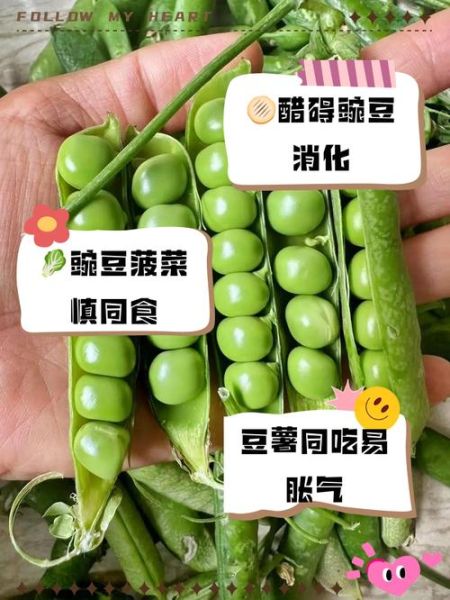 宝宝吃豌豆会过敏吗_宝宝几个月能吃豌豆