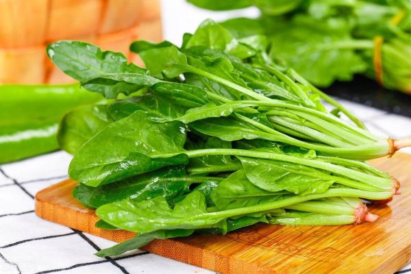 菠菜图片大全大图_哪里找高清无水印素材