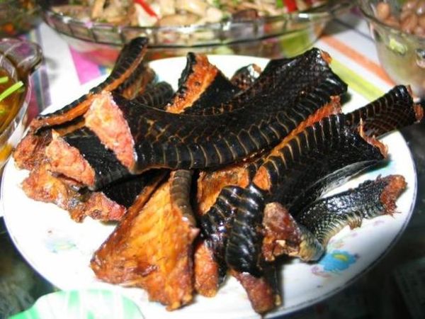 梦到吃蛇肉是什么意思_梦到吃蛇肉好不好