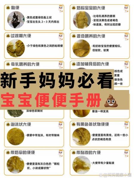 6个月宝宝正常大便图_如何判断宝宝大便是否正常