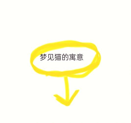 梦到找猫是什么意思_猫丢了梦境解析