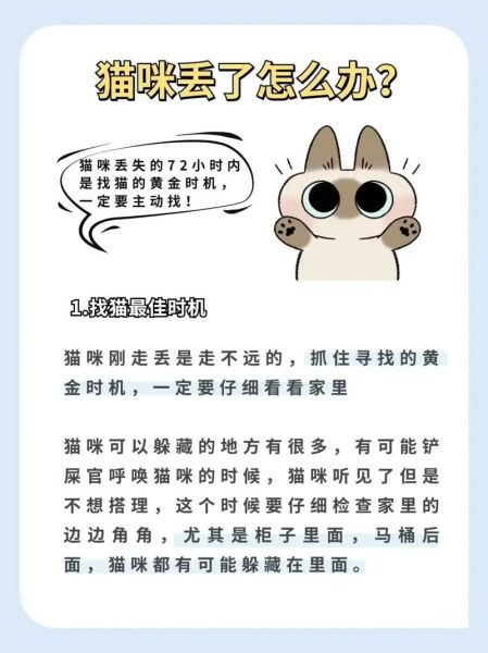 梦到找猫是什么意思_猫丢了梦境解析