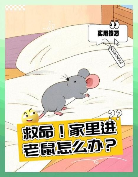 梦到家里进老鼠_是什么预兆