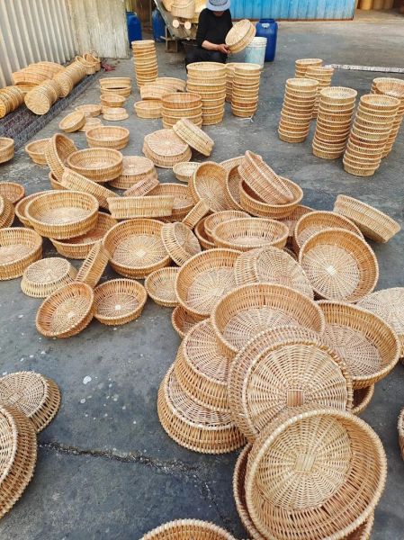 柳条图片大全_柳条怎么编好看