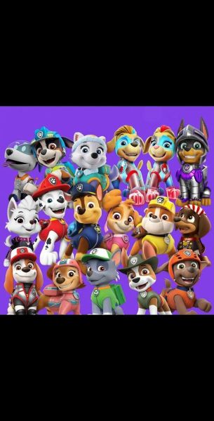 汪汪队迅雷下载_汪汪队迅雷下载安全吗