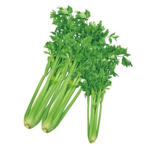 梦到芹菜是什么意思_梦见芹菜预示什么