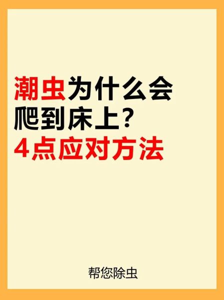 梦到虫子爬是什么意思_如何化解噩梦