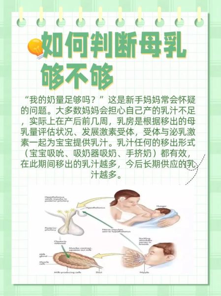 宝宝一直吃奶正常吗_如何科学判断