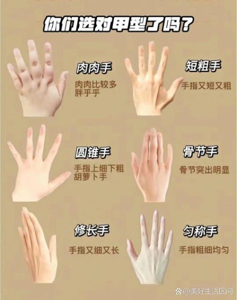 手指头图片大全_手指类型图解