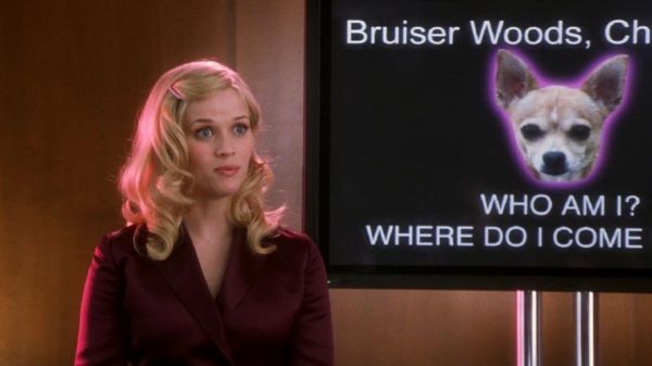 律政俏佳人迅雷下载_如何安全获取高清资源