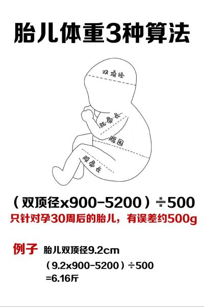 怀孕30周宝宝有多重_30周胎儿体重标准