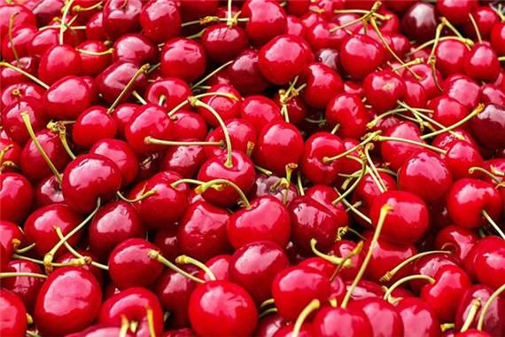 孕妇梦到樱桃是什么意思_孕期梦见樱桃预示什么