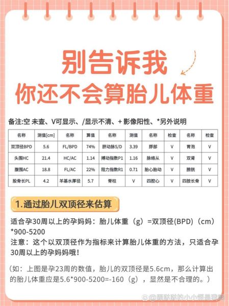 胎宝宝体重计算公式_怎么算才准