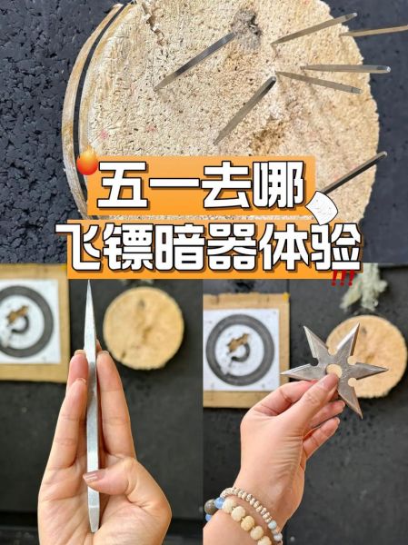 飞镖图片大全_飞镖种类怎么选