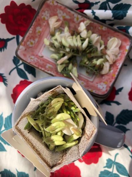 春菜迅雷下载_春菜bt资源在哪找