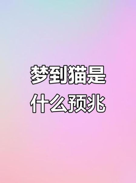 孕期梦到猫是什么意思_孕妇梦见猫是生男还是生女