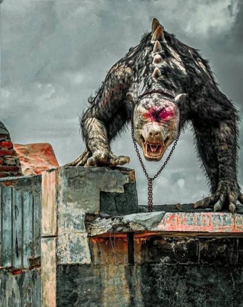 九层妖塔迅雷下载_九层妖塔高清资源在哪找