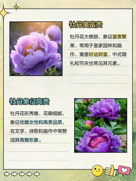 梦到牡丹花是什么意思_牡丹花梦境解析