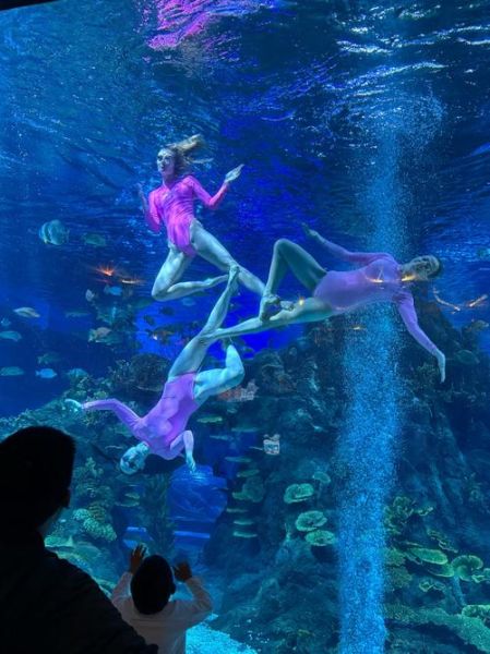 海洋馆图片大全哪里找_海洋馆高清图下载