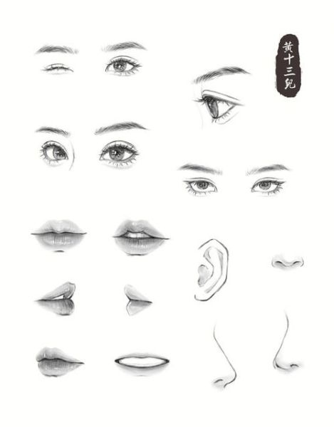 五官图片大全_五官比例怎么画才标准