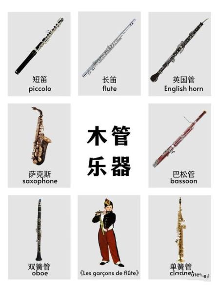 乐器大全有哪些_初学者如何挑选