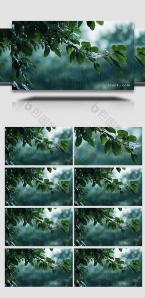 小雨图片大全_哪里找高清无水印素材