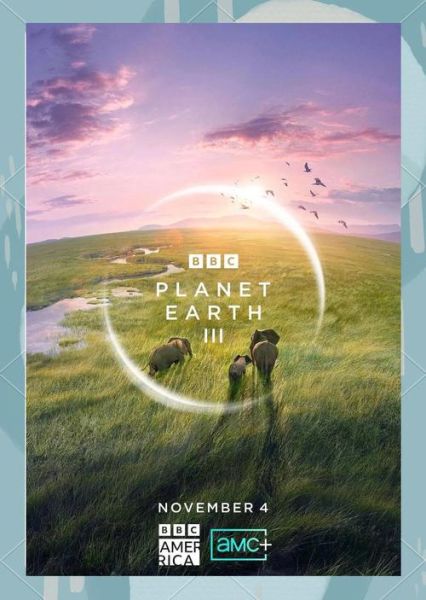 地球脉动迅雷下载_高清资源哪里找