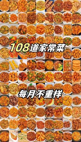 家常菜谱大全_如何快速学会做菜