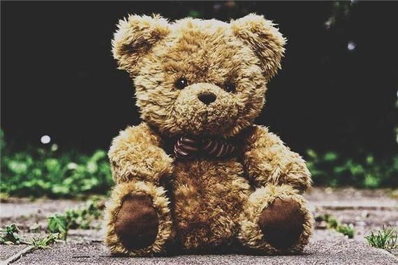 梦到熊是什么意思_梦见被熊追代表什么