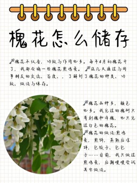 梦到槐树花是什么意思_梦见槐花代表什么