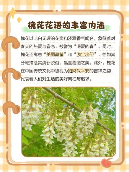 梦到槐树花是什么意思_梦见槐花代表什么