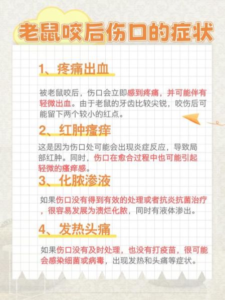 梦到被老鼠咬腿是什么意思_如何化解