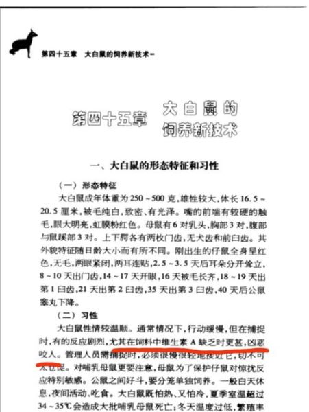 梦到被老鼠咬腿是什么意思_如何化解