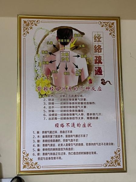 理疗图片大全有哪些_如何正确使用理疗图