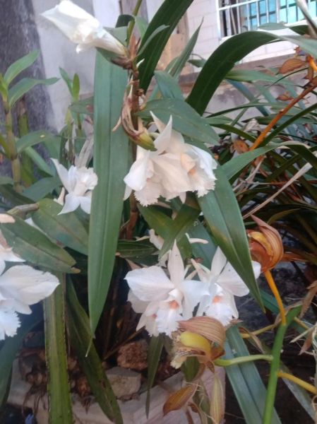 天意迅雷下载安全吗_天意迅雷下载怎么操作