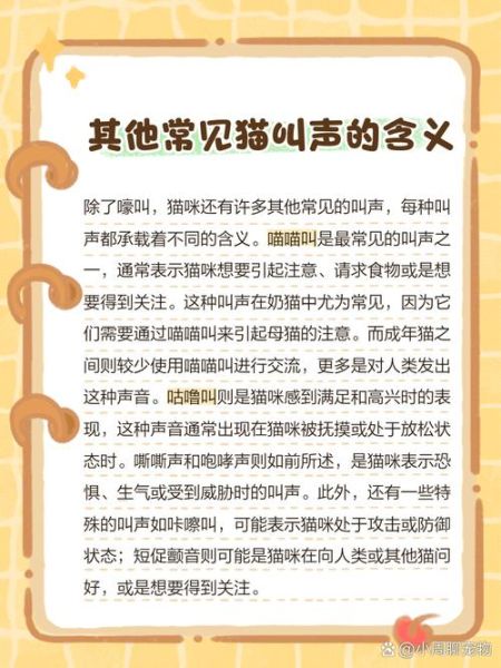 梦到两只小猫是什么意思_梦到两只小猫预示什么