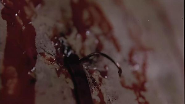 邪降迅雷下载_邪降迅雷下载安全吗