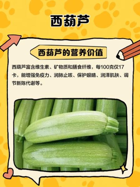 梦到西葫芦是什么意思_梦见西葫芦好不好