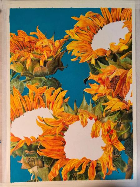 4k纸的绘画图片大全_适合新手临摹吗