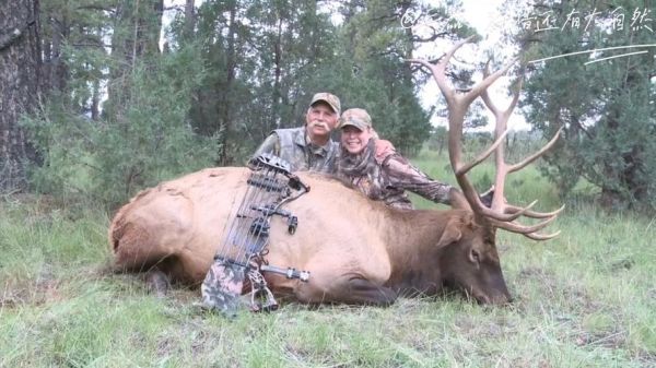 狩猎图片大全_高清狩猎场景怎么拍