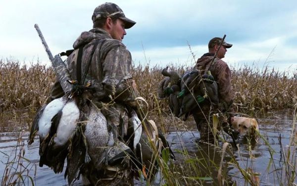 狩猎图片大全_高清狩猎场景怎么拍