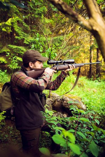 狩猎图片大全_高清狩猎场景怎么拍