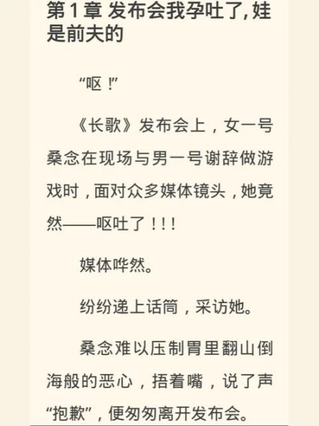 天才宝宝总统爹地伤不起_如何理解这部甜宠文