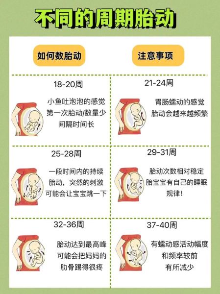 宝宝胎动图片怎么看_胎动频繁正常吗