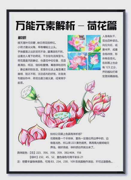 梦到荷花是什么意思_荷花梦境解析