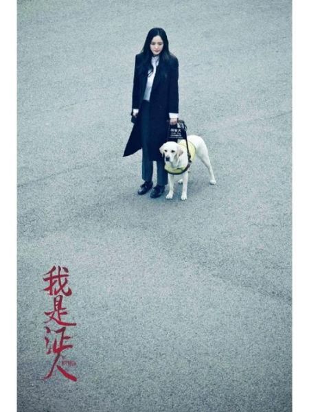 我是证人迅雷下载_我是证人高清资源哪里找