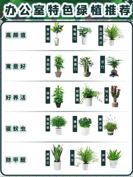 植物大全名字和图片_如何快速识别常见绿植